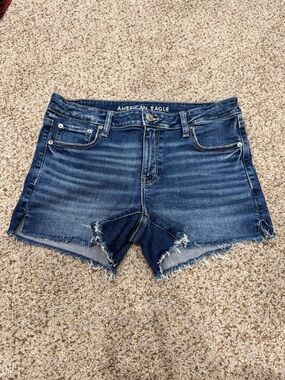 American Eagle Outfitters Blue Distressed Denim Cutoff Shorts